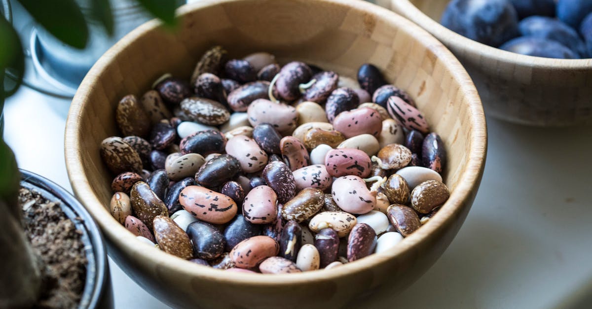 a bowl of various colorful beans in a close up shot on a kitchen table