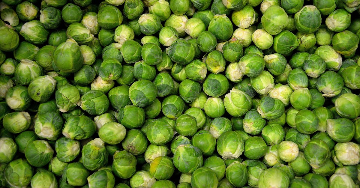 a close up shot of fresh green brussels sprouts perfect for healthy meals