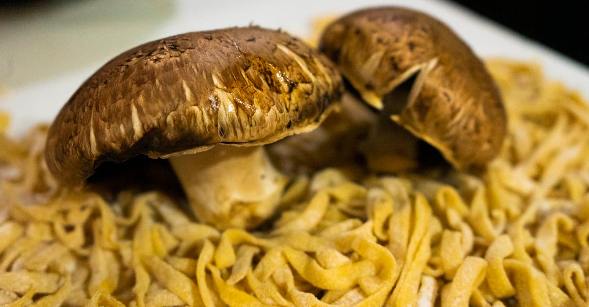 a close up shot of fresh portobello mushrooms sitting atop homemade pasta perfect for gourmet cuisi 2