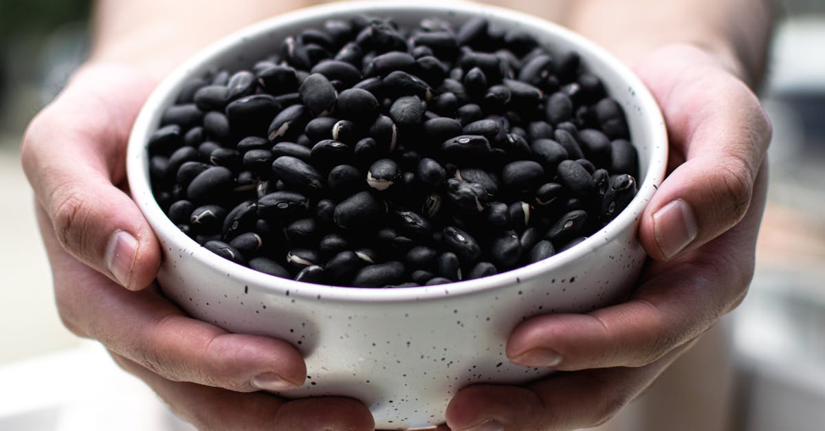 a close up view of hands holding a bowl filled with black beans suitable for culinary and agricultu