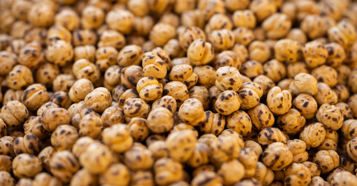 a direct view of roasted chickpeas showcasing their texture and vibrant color perfect for culinary 3