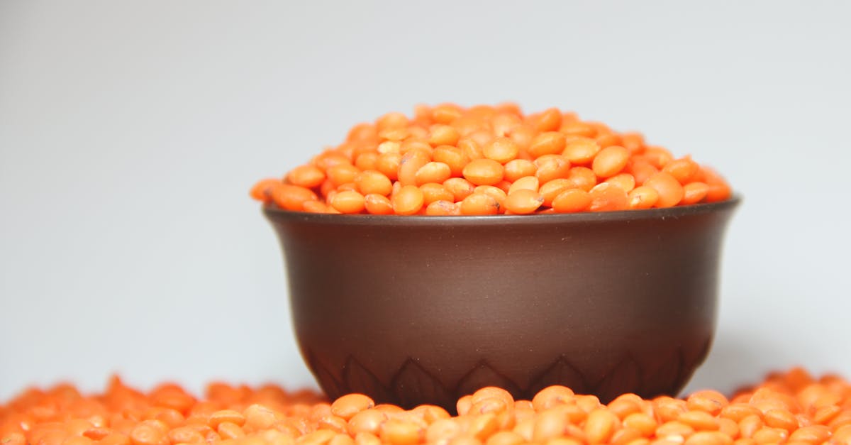 a focused image of a bowl filled with vibrant red lentils against a plain background 2