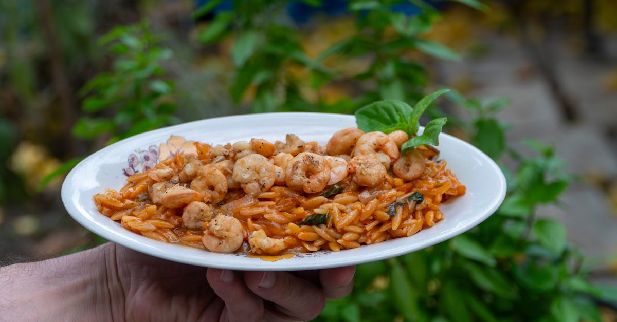 a mouth watering shrimp orzo dish served on a white plate held in a greek garden 8