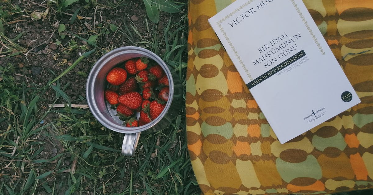 a relaxed picnic setting featuring a book and strawberries in a cup on grassy ground