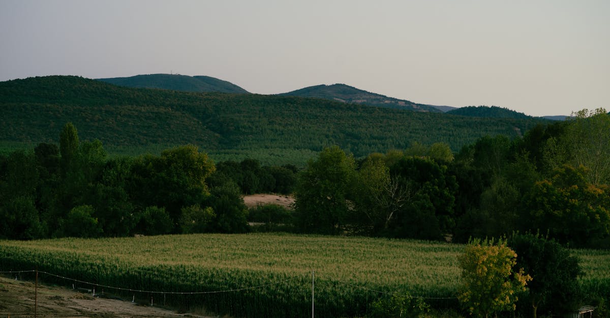 a serene countryside view of green fields and hills in biga canakkale turkiye at twilight