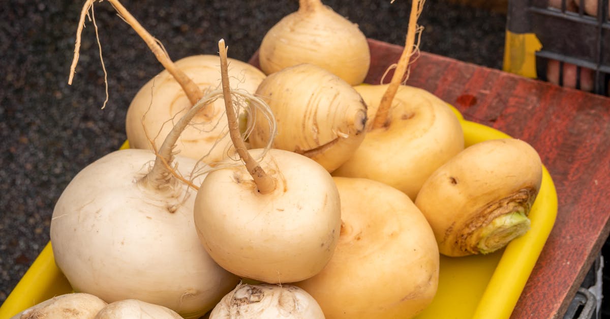 a variety of fresh turnips displayed on a yellow tray at a farmers market 1
