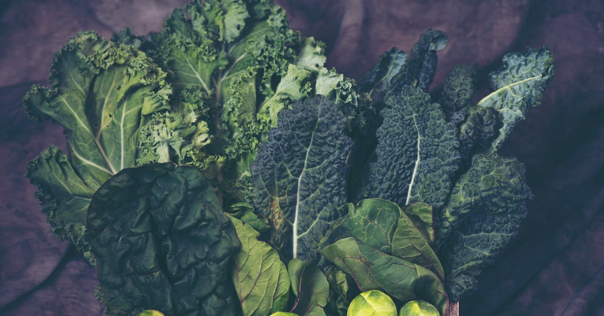 a vibrant assortment of fresh kale and brussels sprouts showcasing healthy greens
