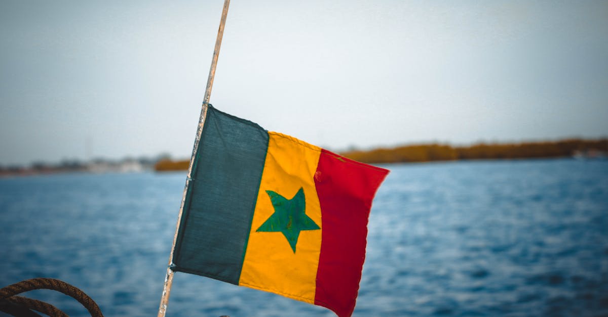 a vibrant senegalese flag flutters against a serene sea backdrop symbolizing national pride