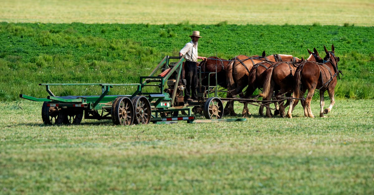 Home amish farmer in strasburg pa working the fields with horse drawn equipment