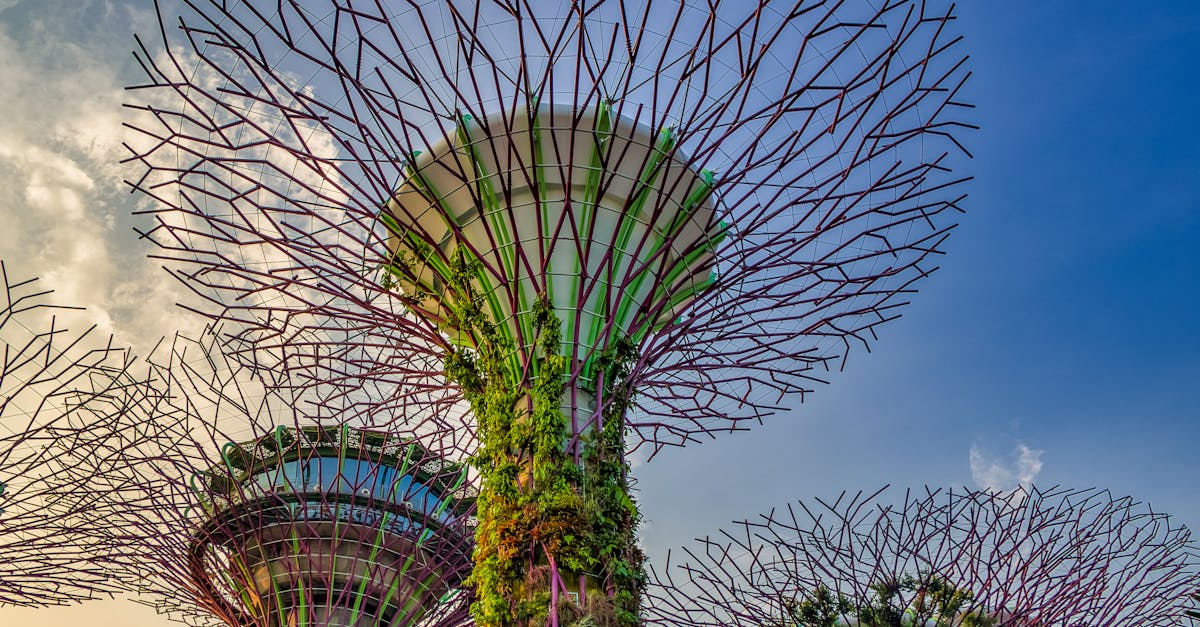 captivating view of singapore s supertree grove against a blue sky at gardens by the bay