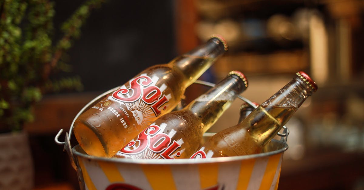 chilled sol beer bottles in a bucket perfect for a refreshing moment
