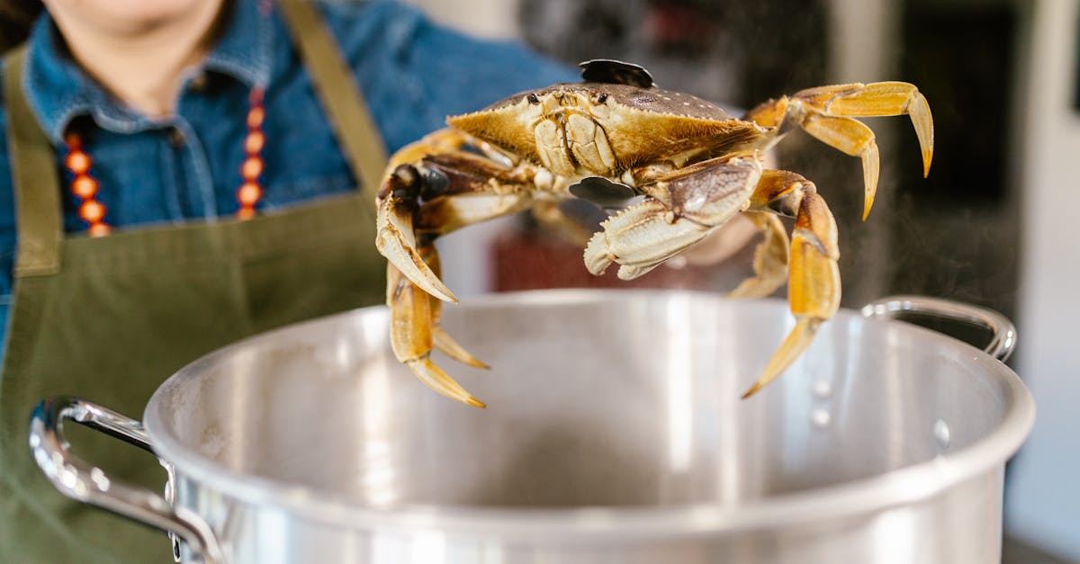 close up of a chef holding a crab over a boiling pot ready for cooking 3