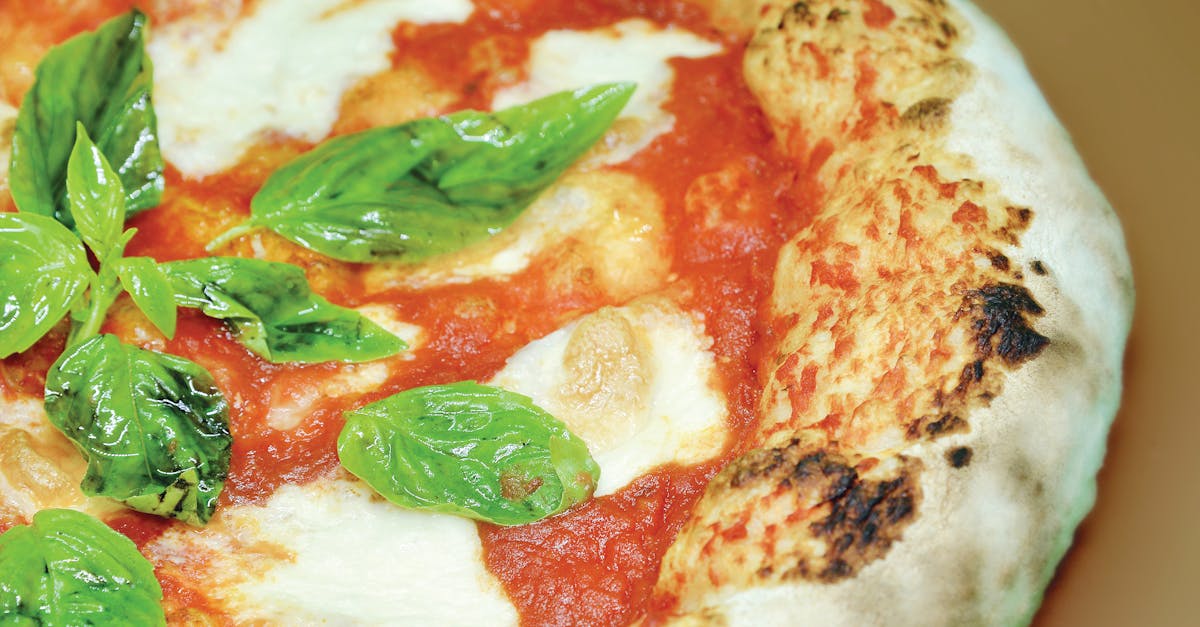 close up of a freshly baked neapolitan pizza with mozzarella and basil leaves