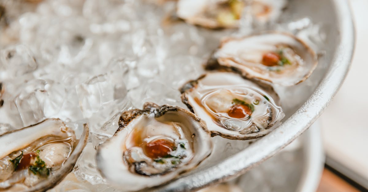 close up of fresh oysters served on a bed of crushed ice perfect for seafood lovers