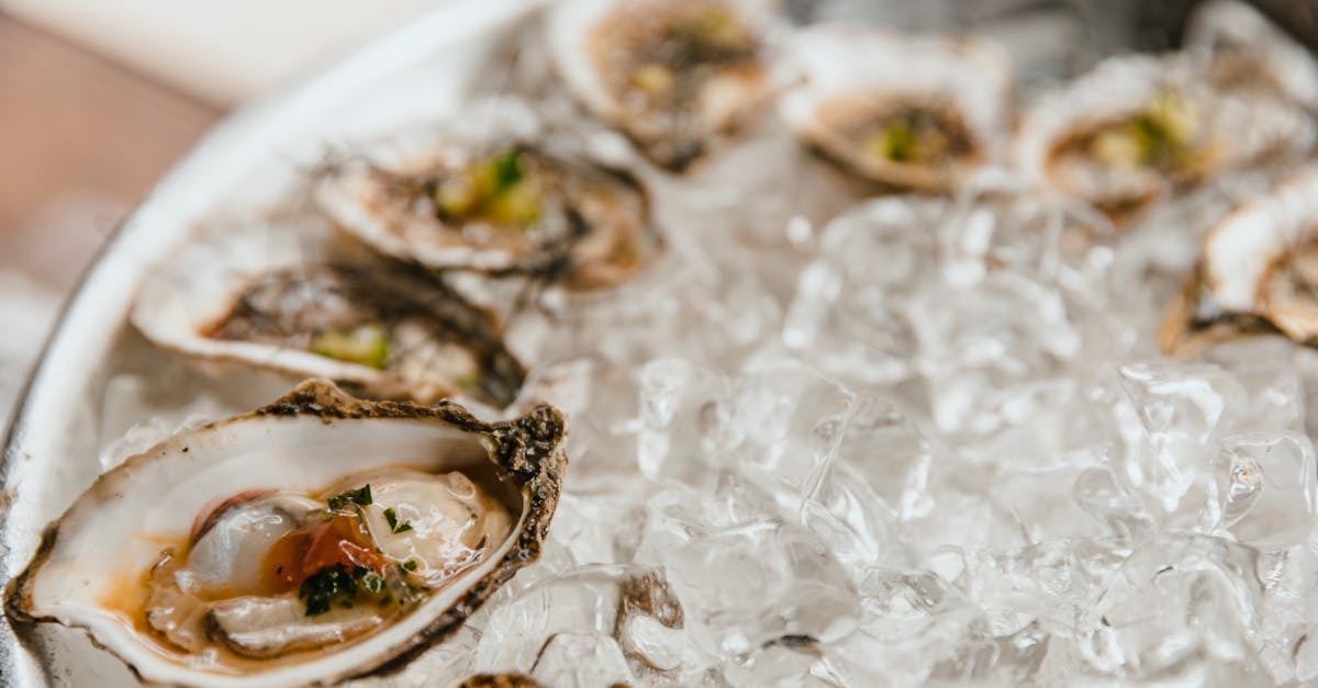 Home close up of freshly shucked oysters with garnishes served on ice creating a gourmet dining experien 1