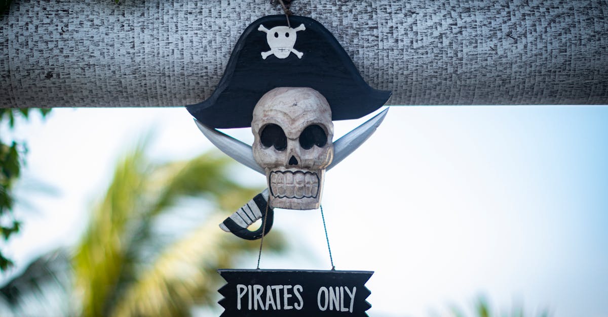decorative pirate skull sign with pirates only text hanging outdoors on a sunny day
