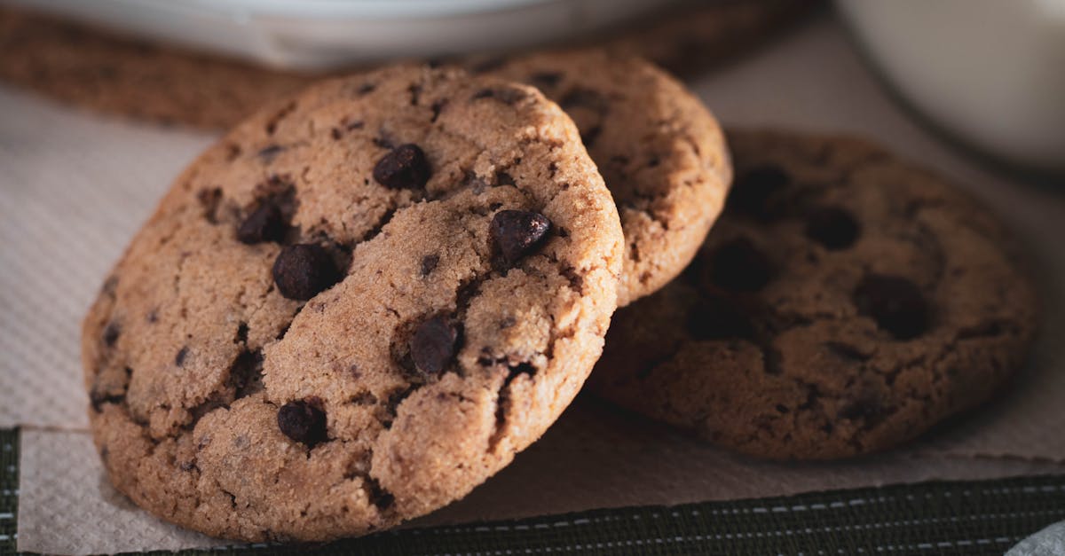 delicious warm chocolate chip cookies perfect for any sweet craving 1