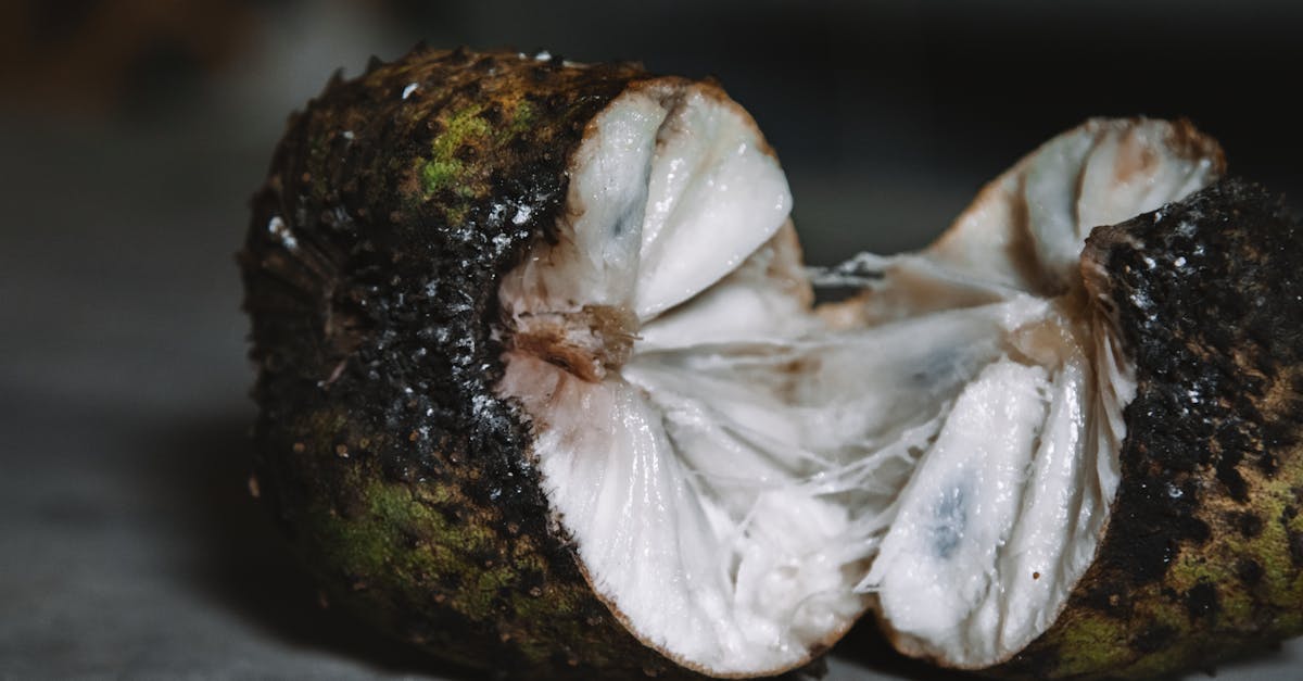 detailed close up of a fresh sugar apple fruit split in half revealing white pulpy interior