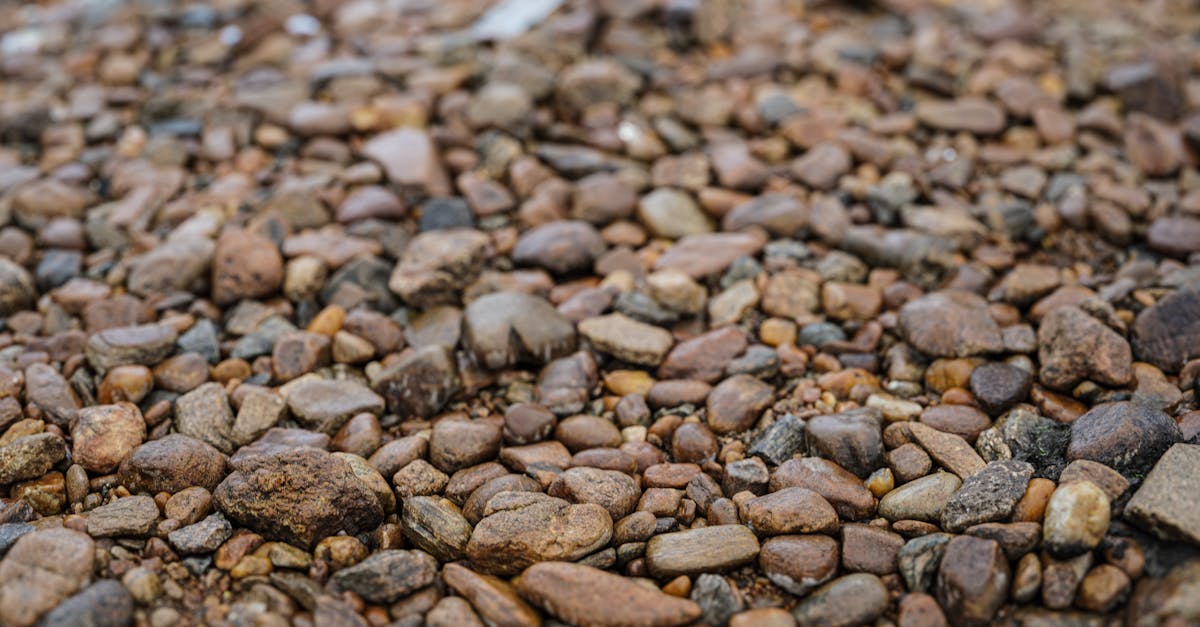detailed close up of various brown pebbles on a ground surface highlighting natural textures and ea