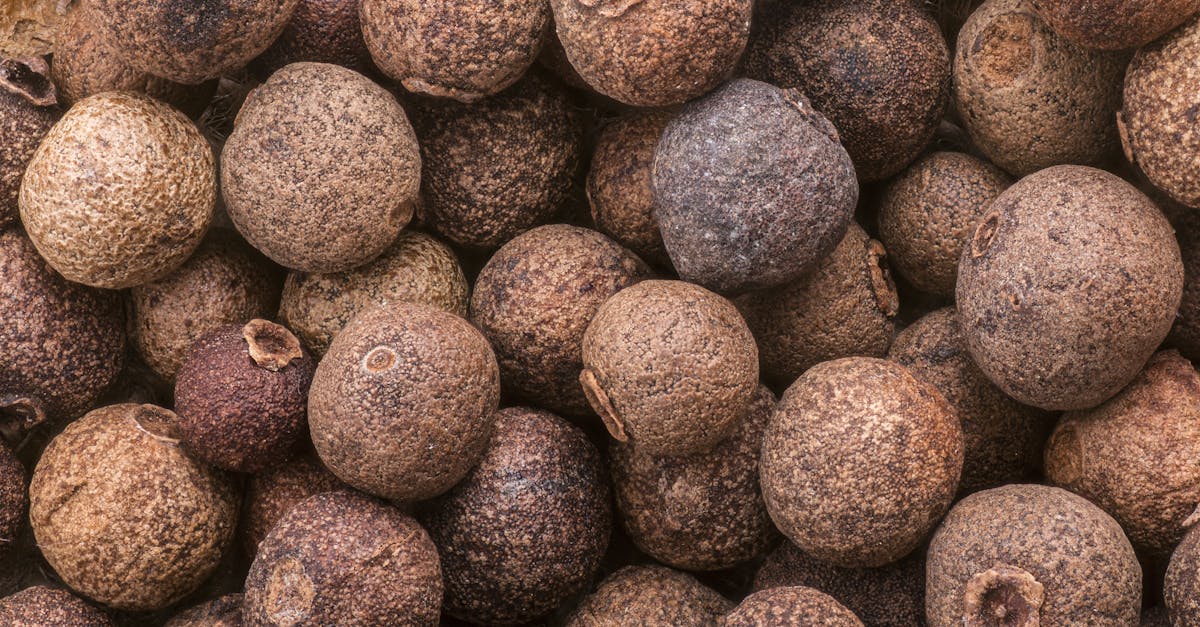 detailed image of whole allspice berries highlighting texture and earthy tones