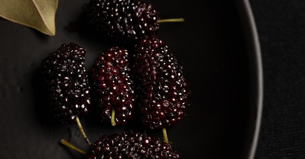 detailed photo of fresh black mulberries placed on a dark plate with leaf decoration