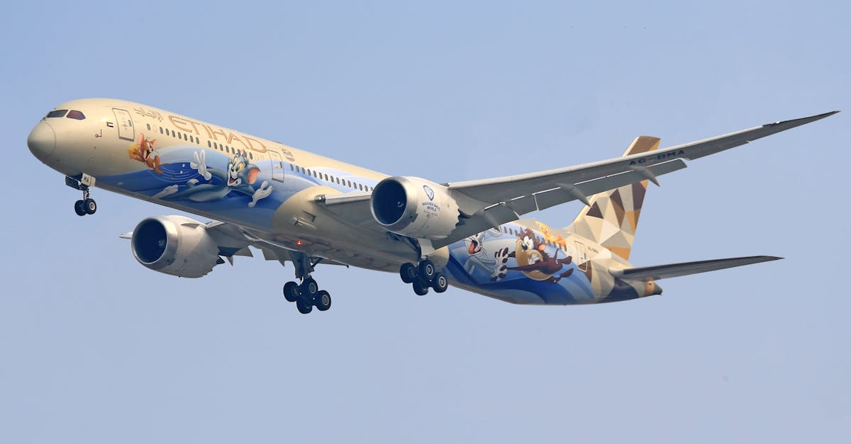 etihad airways boeing 787 9 dreamliner featuring a cartoon livery takes off against a clear blue sky