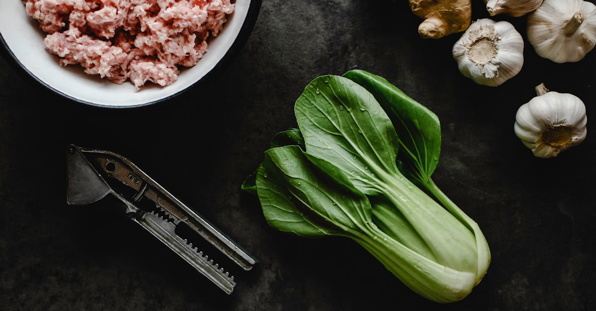 flat lay of fresh ingredients including ground meat pak choi garlic ginger and a meat grinder