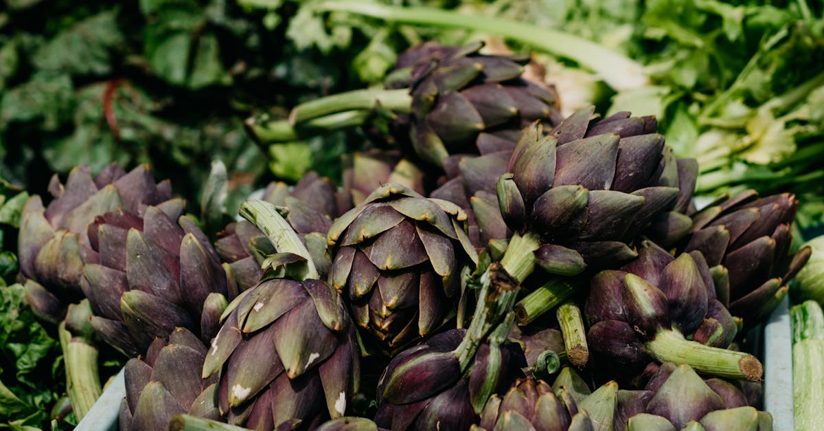 fresh organic artichokes displayed at a farmers market vibrant and healthy