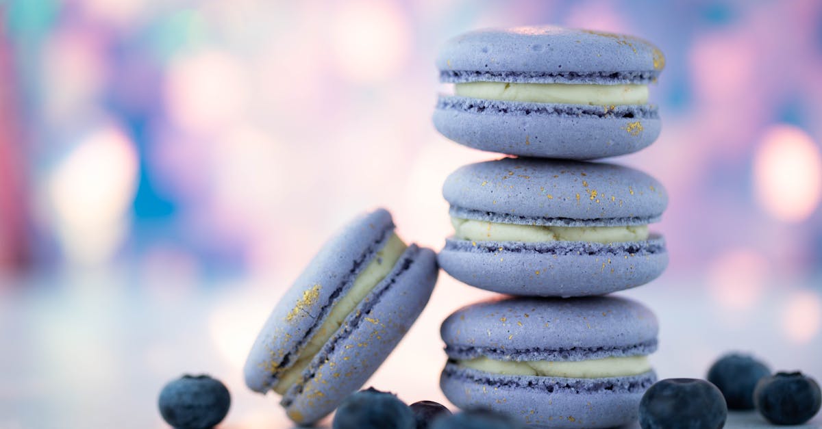 gentle purple macaroons with white delicate cream near fresh ripe blueberries on blurred background