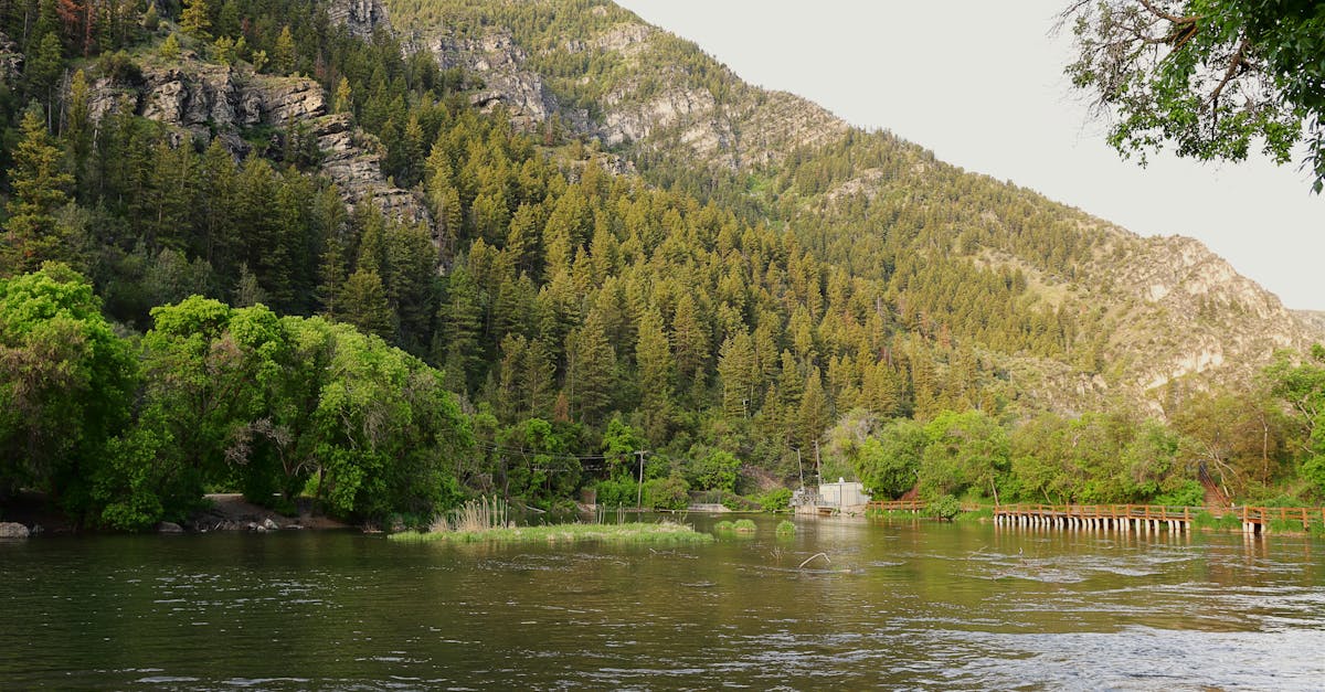 serene river surrounded by lush forest in logan canyon utah offering breathtaking nature views