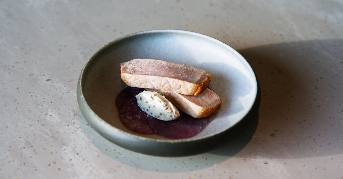 stylish presentation of duck breast with sauce on a modern plate highlighting fine dining cuisine 1