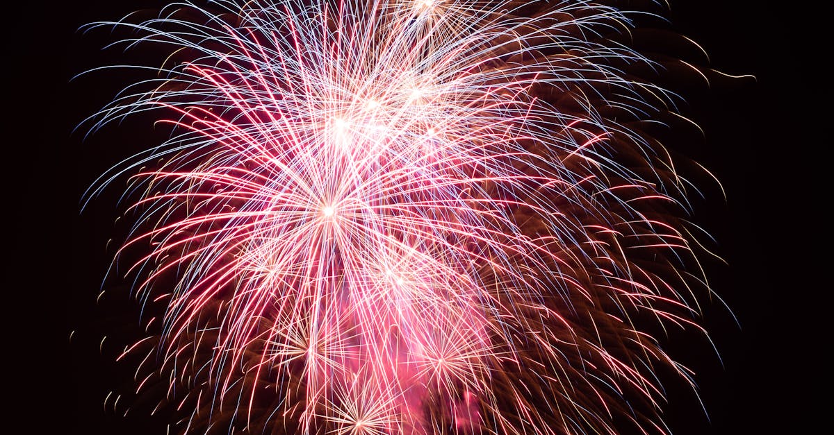 vivid fireworks burst in the night sky showcasing a colorful celebration